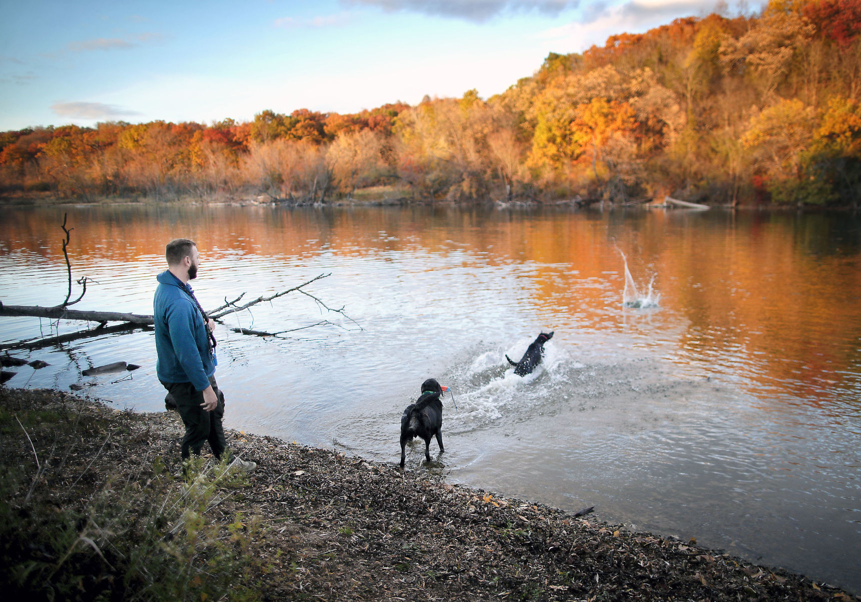 Dogs make a splash at Riverside Park